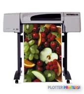 HP DesignJet 500ps