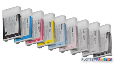 Epson Singlepack Light Light Black T603900 220 ml