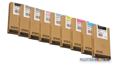 Epson Singlepack Photo Black T603100 220 ml