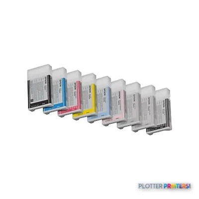 Epson Singlepack Photo Black T602100