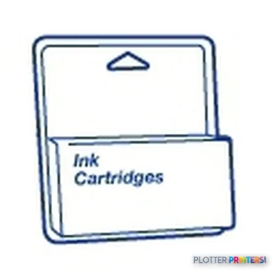 Epson Singlepack Cyan T602200