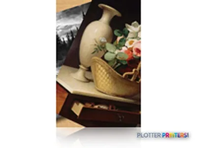 Epson Premium Luster Photo Paper, 60" x 30,5 m, 260g/m²