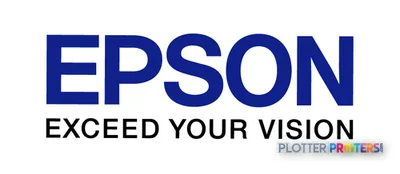 Epson Paper Basket