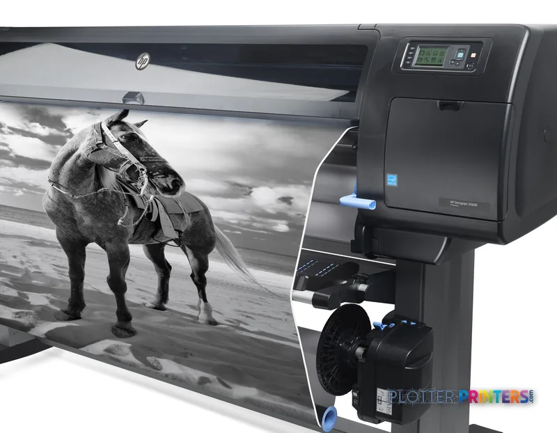 HP Designjet Z6600 large-format printer lifestyle image showing a black and white horse photograph printing on wide media