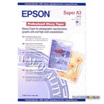 Epson Professional Glossy Paper, DIN A3+, 217g/m², 20 Sheets