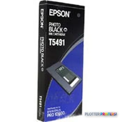 Epson Singlepack Photo Black T549100