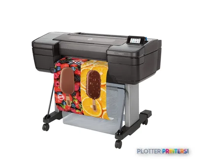 HP DesignJet Z6 24-in PostScript Printer front-left view showing grey printer with colorful printed output