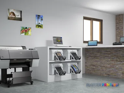 Epson SureLab SL-D800 OC-LE large-format printer in a professional photo lab setting with output samples displayed on wall