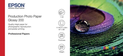 Epson Production Photo Paper Glossy 200 44" x 30m