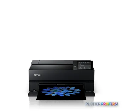 Epson SureColor SC-P700 large format printer product image showing black inkjet printer with blue flower print output
