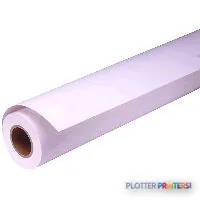 Epson Premium Glossy Photo Paper Roll, 16